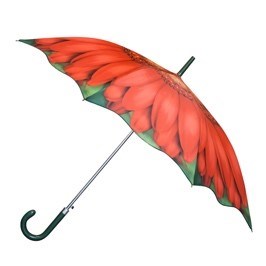DRP-028 DROP UMBRELLA RED GERBERA WOMANS STICK AUTO OPEN (R)