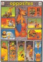 [B&C] MM0028 EDUCATIONAL POSTER OPPOSITES