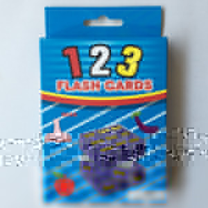 [CNJ] 381191OD3-1 FLASH CARDS/123