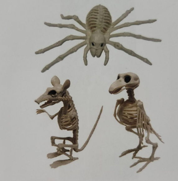 [UBL] XH6866 SKELETON ANIMAL 20CM ASST 9333527639226